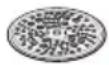 BOSCH MUM57B22 - Reibscheibe – grob - 1