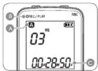 OEC/PLAY A B 03 00:28 M 50 s C