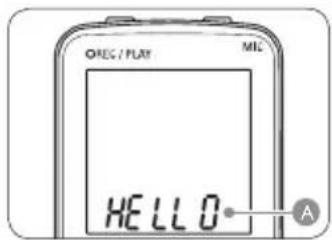 OREG/PLAY MIL HELLO A