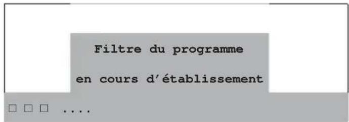 Filtre du programme en cours d'établissement