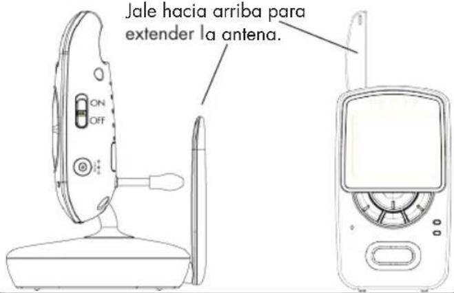 Jale hacia arriba para extender la antena.