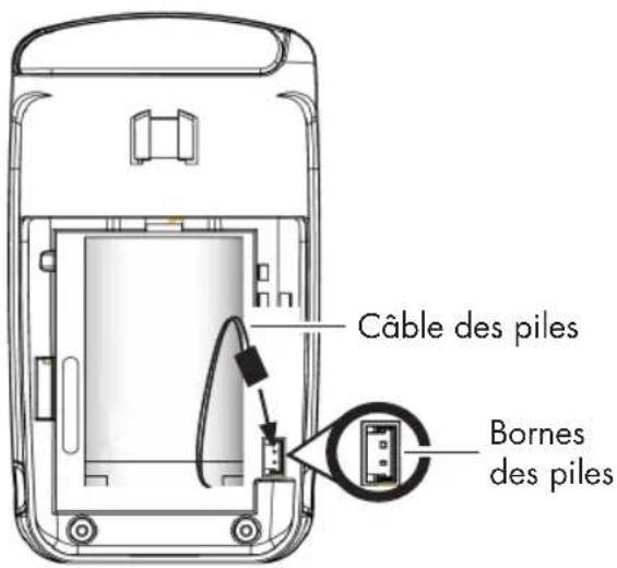 Câble des piles Bornes des piles