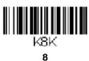 HONEYWELL Granit 1280i - Sample Symbols - 16