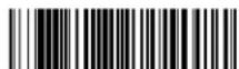HONEYWELL Granit 1280i - Continuous Scan Mode - 1