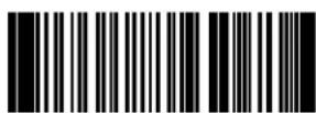HONEYWELL Granit 1280i - Sample Symbols - 7