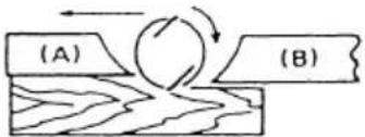 (A) (B)