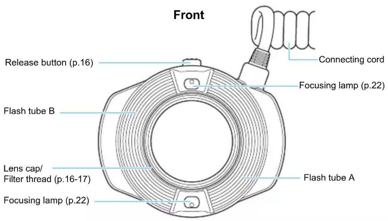 Front Release button (p.16) Focusing lamp (p.22) Flash tube B Lens cap/ Filter thread (p.16-17) Focusing lamp (p.22) Connecting cord