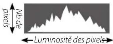Nb de pixels Luminosité des pixels