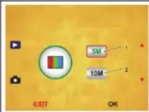 5M 10M EXIT OK