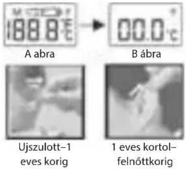 188.8°C A abra 00.0°C B ábra Ujszulott-1 eves korig 1 eves kortol- felnöttkorig