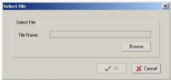 Select File Select File File Name: Browse OK Cancel