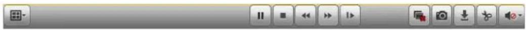 Screenshot of a media player control bar with playback, pause, and audio icons