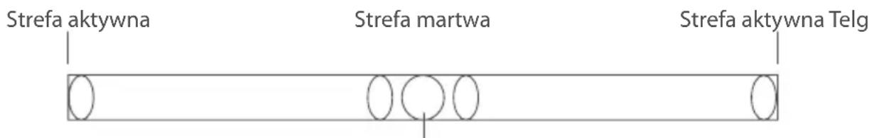 Strefa aktywna Strefa martwa Strefa aktywna Telg