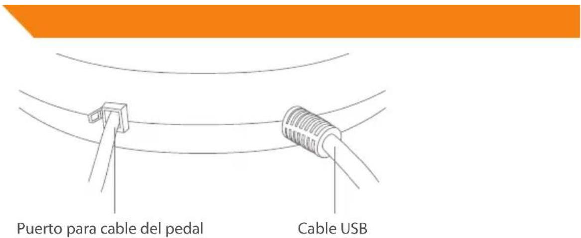 Puerto para cable del pedal Cable USB