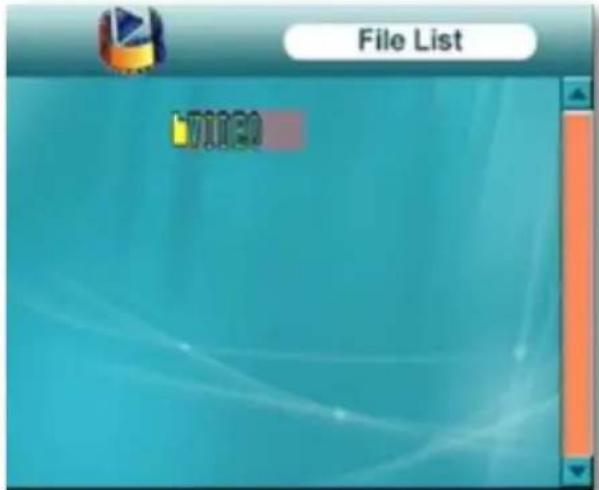 File List VITEO
