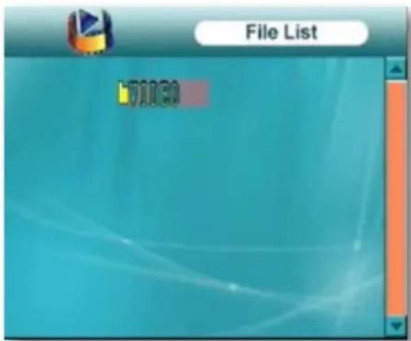 File List VIDEO