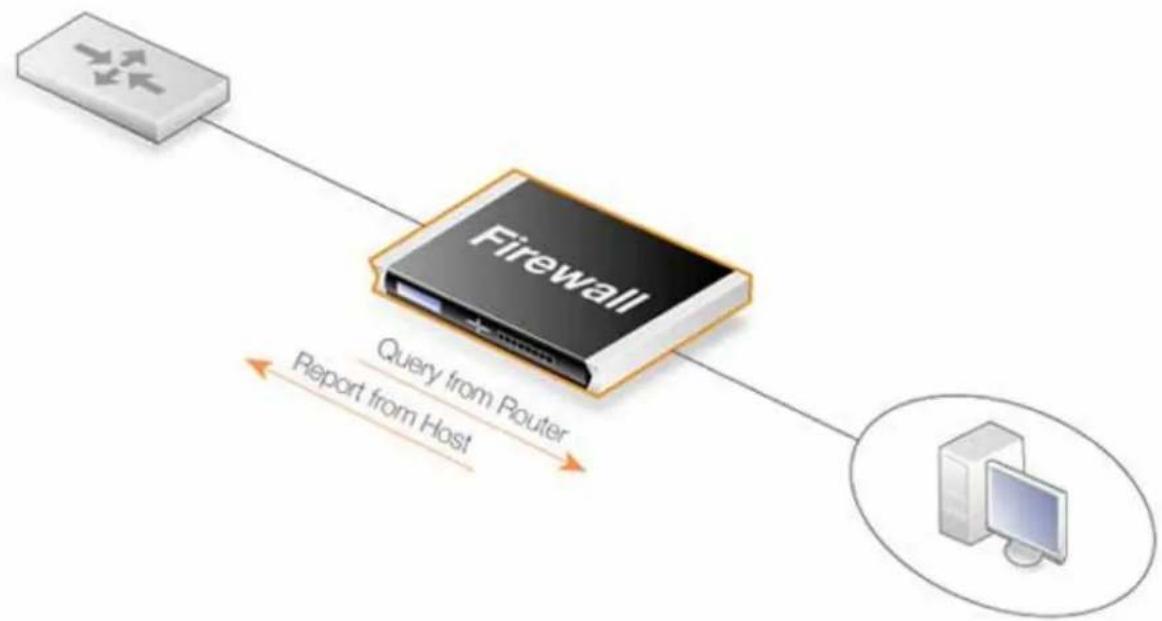 D-LINK DFL-260 - Figure 4.6. Surveillance multicast - 1