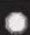 TROY-BILT Storm 2410 - SHIFT ROD (IF EQUIPPED) - 3