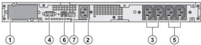 Diagram of a network device rear panel with labeled ports and connectors