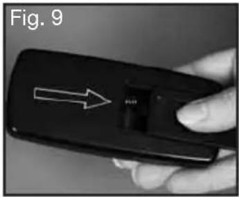 Fig. 9