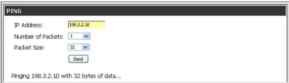 PING IP Address: 198.3.2.10 Number of Packets: 1 Packet Size: 32 Send Pinging 198.3.2.10 with 32 bytes of data...