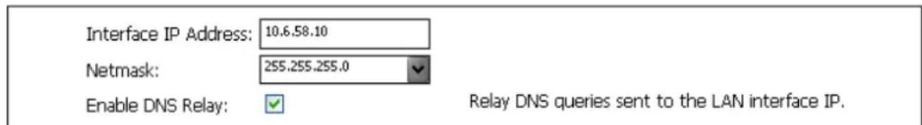 Interface IP Address: 10.6.58.10 Netmask: 255.255.255.0 Enable DNS Relay: ✓ Relay DNS queries sent to the LAN interface IP.