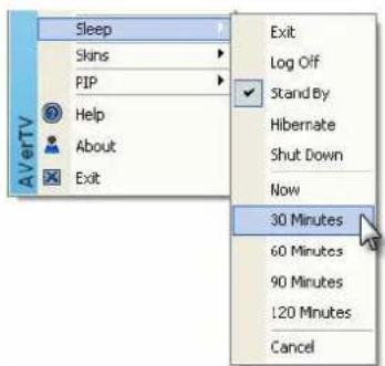 AVerTV Sleep Skins PIP Help About Exit Exit Log Off Stand By Hibernate Shut Down Now 30 Minutes 60 Minutes 90 Minutes 120 Minutes Cancel