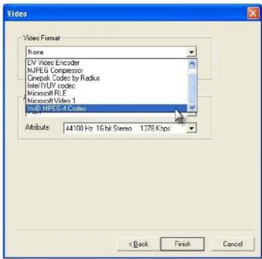 Video Video Format None DV Video Encoder MJPEG Compressor Cinepak Codec by Radius Intel IYUV codec Microsoft RLE Microsoft Video 1 Xv0 MPEG-4 Codec Attribute: 44100 Hz 16 bit Stereo 1378 Kbps < Back Finish Cancel