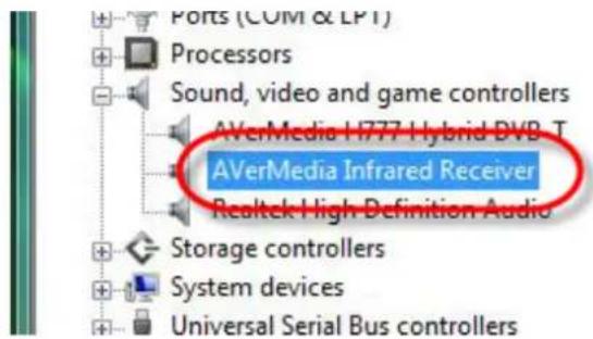 Ports (COM & LPT) Processors Sound, video and game controllers AVerMedia H777 Hybrid DVB T AVerMedia Infrared Receiver Realtek High Definition Audio Storage controllers System devices Universal Serial Bus controllers