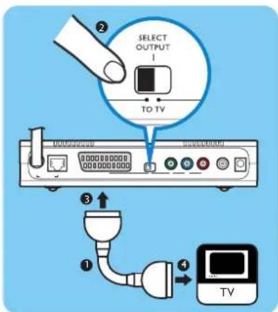 SELECT OUTPUT TO TV