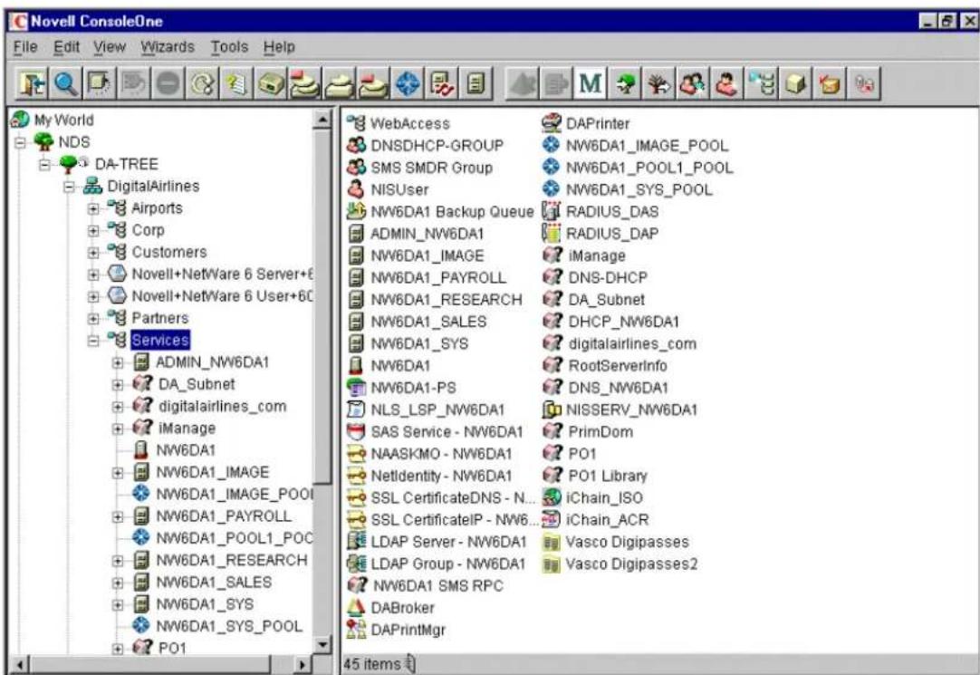 Novell ConsoleOne File Edit View Wizards Tools Help My World NDS DA-TREE DigitalAirlines Airports Corp Customers Novell+NetWare 6 Server+ Novell+NetWare 6 User+6C Partners Services ADMIN_NW6DA1 DA_Subnet digitalairlines_com iManage NW6DA1 NW6DA1_IMAGE NW6DA1_IMAGE_POOI NW6DA1_PAYROLL NW6DA1_POOL1_PO…