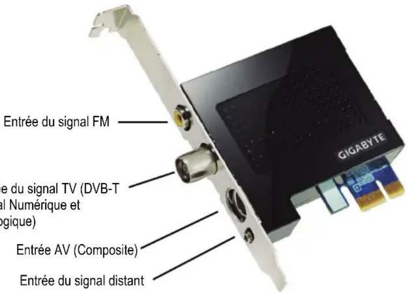 Entrée du signal FM Entrée du signal TV (DVB-T al Numérique et logique) Entrée AV (Composite) Entrée du signal distant GIGABYTE