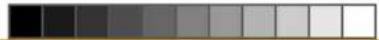 TRISTAR BP-2981 - Utilizar - 2