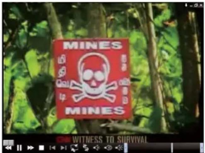 MINES WITNESS TO SURVIVAL