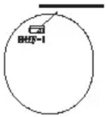 BHF-1