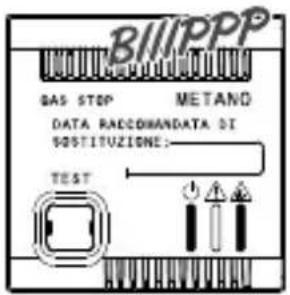 BHI/PPP GAS STOP METAND DATA RACCOMANDATA DI SOSTITUZIONE: TEST