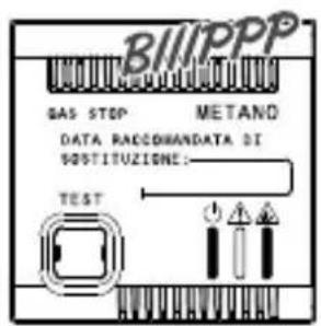 B1/1PPP GAS STOP METAND DATA RACCOHANDATA DI SOSTITUZIONE: TEST