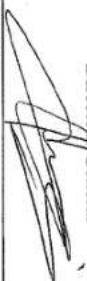 AVIDSEN 102318 - INFORMATIONS COMPLEMENTS: - 3