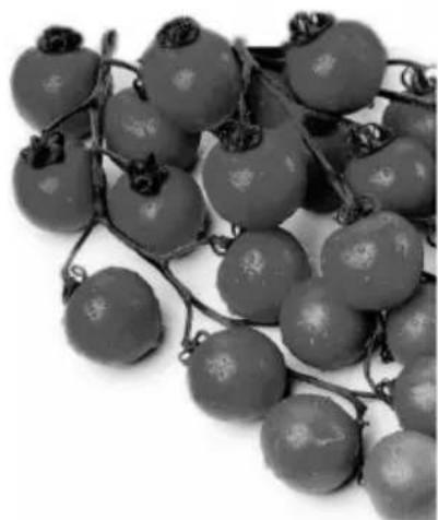 RGV Duetto Plus - Pour utiliser le «PRESSE TOMATE» - 1