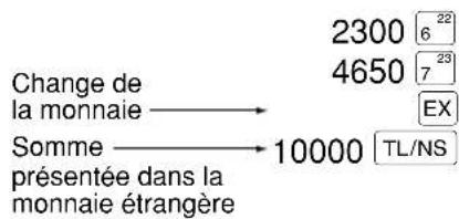 Change de la monnaie → Somme → 10000 TL/NS présentée dans la monnaie étrangère