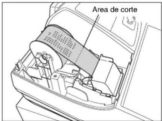 Area de corte