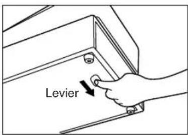 Levier