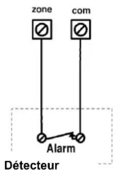 zone com Alarm Détecteur