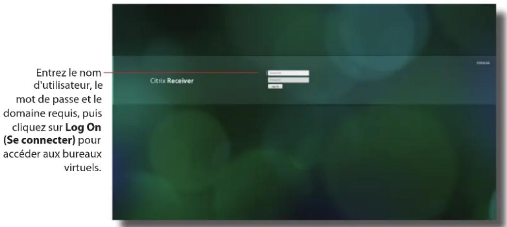 Entrez le nom d'utilisateur, le mot de passe et le domaine requis, puis cliquez sur Log On (Se connecter) pour accéder aux bureaux virtuels.