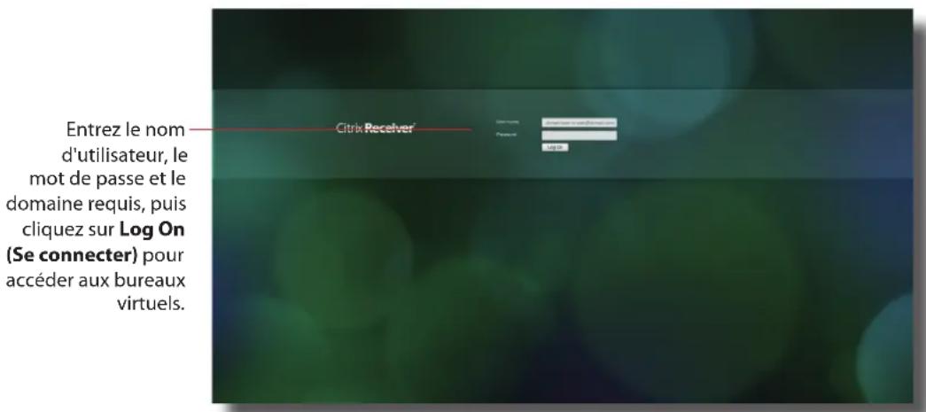 Entrez le nom d'utilisateur, le mot de passe et le domaine requis, puis cliquez sur Log On (Se connecter) pour accéder aux bureaux virtuels.