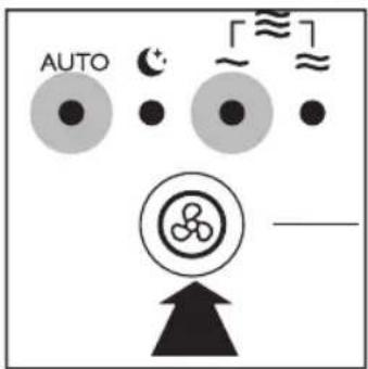 AUTO ~ ~ ~