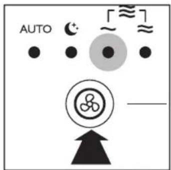 AUTO ~ ~ ~ ~