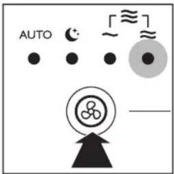AUTO ~ ≈ ~ —