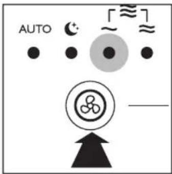 AUTO ~ ~ ~
