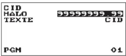 CID HALO 99999999.99 TEXTE CID PGM 01